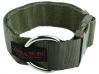 Zentauron Zentauron Einsatzhalsband Chester 5cm