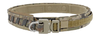 Agilite Agilite Magnetix Battle Belt