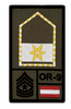 Café Viereck Café Viereck Vizeleutnant Rank