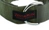 Zentauron Zentauron Einsatzhalsband Chester 5cm