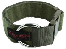 Zentauron Einsatzhalsband Chester 5cm