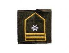 Bundesheer Fähnrich