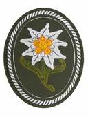 Clawgear Edelweiss Oval Patch 