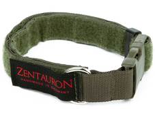 Zentauron Einsatzhalsband Chester 2,5 cm